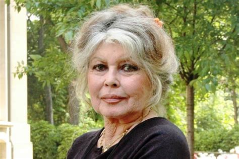 Brigitte Bardot Contro Metoo Apprezzavo I Complimenti Sul Mio