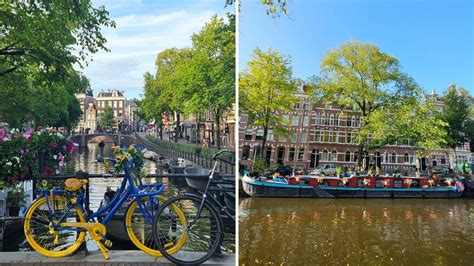 8 lugares gratis que visitar en Ámsterdam imperdibles