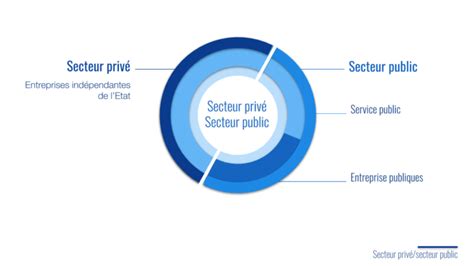 Comment Caract Riser Une Organisation Sujets Et Corrig S Du Bac