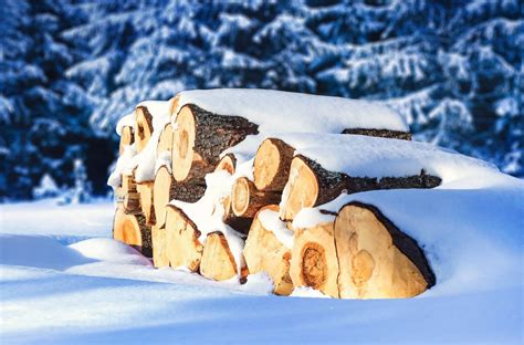 Scientists harvest electricity from wood soaking in water - Earth.com