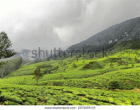 21 Munnar Gap Road Images, Stock Photos, 3D objects, & Vectors | Shutterstock