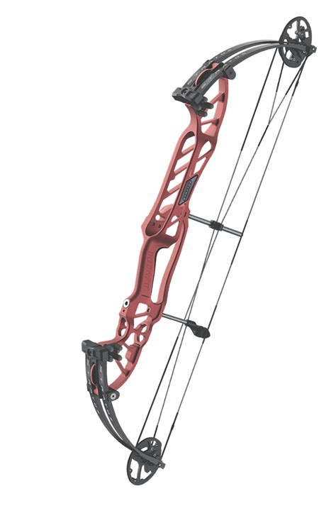 Hoyt Compoundbogen Stratos 36 Mit SVX Cams Modell 2023 ARCHERY