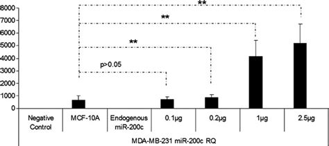 Mir C Expression Profiling After Transfection Of Mir C Containing