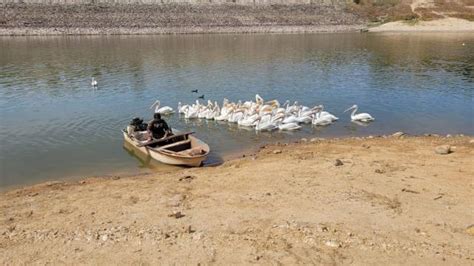 Presas de Sinaloa almacenan un 62 4 menos agua que hace un año están