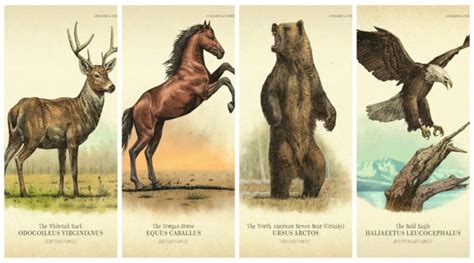 RDR2: 200 Animal Species and Legendary Animals - Comics And Memes