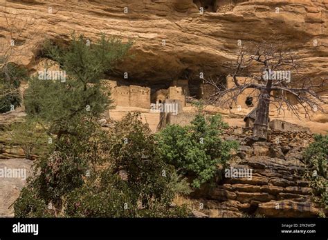 Abandoned cliff dwellings on the Bandiagara escarpment above Piri village, Dogon Country, Mali ...