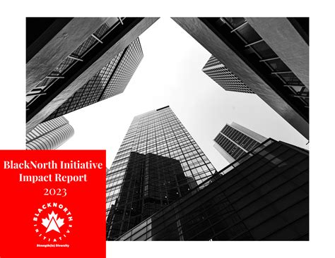 BlackNorth Initiative Impact Report 2023 - BlackNorth Initiative