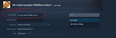 Steam Community Guide How To Re Color And Re Size Your Name