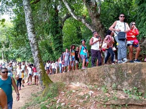 Ii Trilha Ambiental Do Parque S O Bartolomeu Piraj Em Salvador Sympla