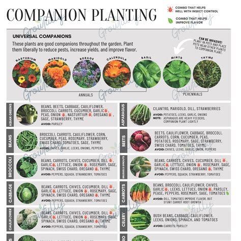 Companion Planting Chart—Garden Journal Pages – Growfully