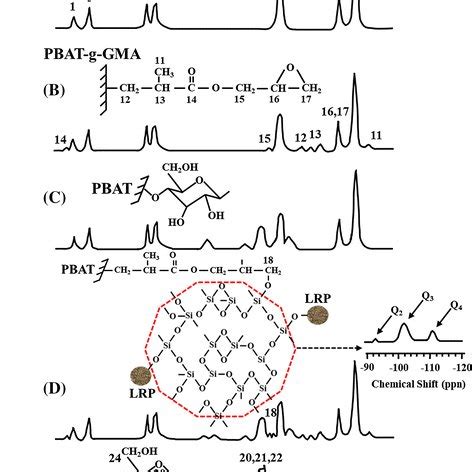 Solid state carbon 13 nuclear magnetic resonance ¹³C NMR and