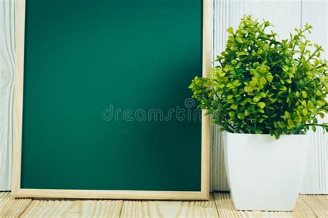 Blank Green Chalkborad With Wood Frame And Little Decorative Tree In White Vase On Wooden Table