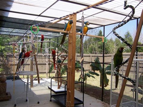 17 Best images about Outdoor aviary ideas on Pinterest | Geodesic dome ...