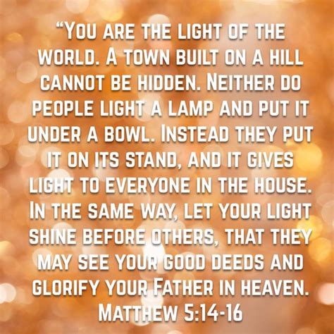 Matthew New International Version Niv Light Of The World