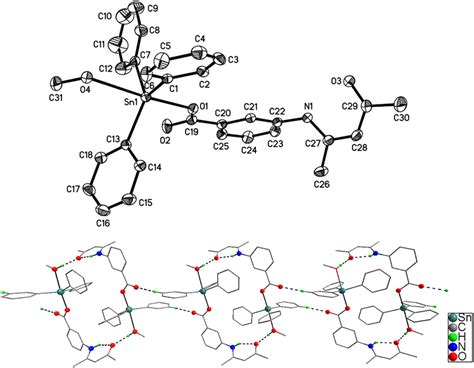 Molecular Structure Top And 1d Supramolecular Chain Bottom Of Download Scientific Diagram