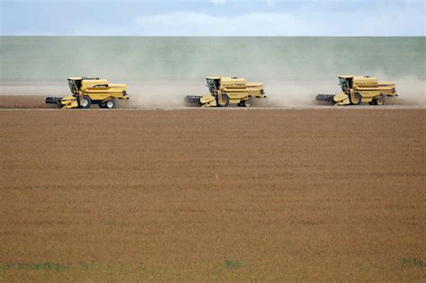 Brasilagro Vende Fazenda Em Mato Grosso Por R Milh Es Maior