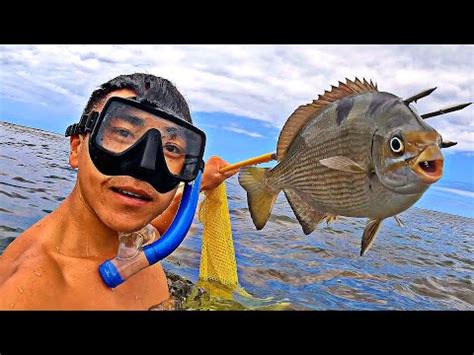 Catch And Cook Spearfishing Kauai YouTube