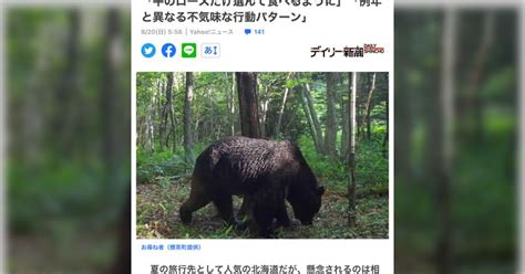 牛66頭を襲った神出鬼没のヒグマ「oso18」ついに駆除か？「関係者の皆さまお疲れ様でした」「安らかに眠れ」 Togetter トゥギャッター