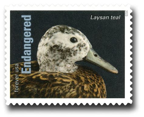 The first class forever stamps investment value might surprise you 31