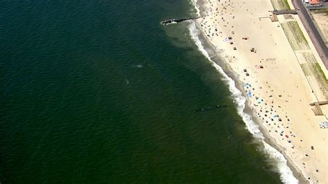 Long Island Shark Sighting Off Lido West Beach Spark Beaches To Close