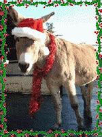 Dan Cirucci: The Story Behind 'Dominick The Christmas Donkey'