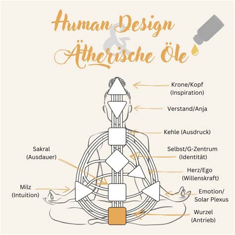 Human Design Therische Le Craki Kinderbalance