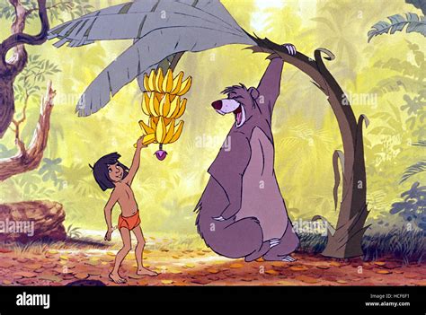 Jungle Book Baloo And Mowgli