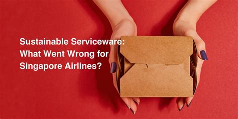 Sustainable Serviceware What Went Wrong For Singapore Airlines