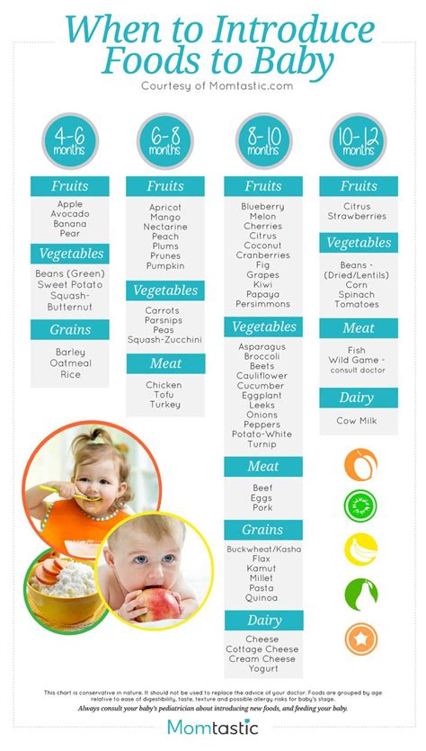 Free Printable Baby Food List