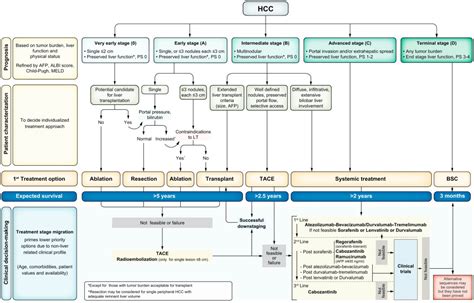 BCLC Strategy For Prognosis Prediction And Treatment Recommendation