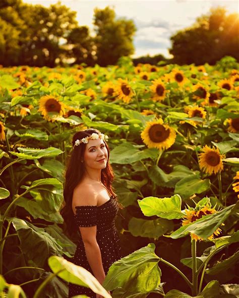 Sunflower portraits, sunflower field photos, sunflower photography ...