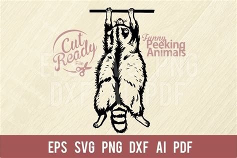 Hanging Raccoon SVG | Comic Animal SVG | Funny Animals SVG