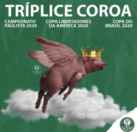 Veja Os Melhores Memes Do Tetra Da Copa Do Brasil Do Palmeiras Lance