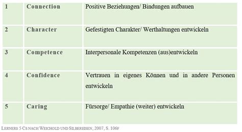 Entwicklungsaufgaben im Jugendalter als Wegweiser für Förderung