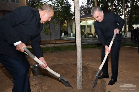 Shavkat Mirziyoyev Yashil Makon Loyihasi Doirasida Kuzgi Daraxt Ekish