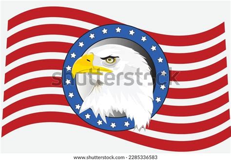 Bald Eagle American Flag Vector Perfect Stock Vector (Royalty Free) 2285336583 | Shutterstock