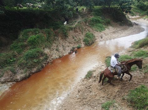 Nuevo Derrame De Hidrocarburos En Arroyo Choapense Del Que Dependen