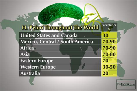 The Damaging Effects of H Pylori Infections - DrJockers.com