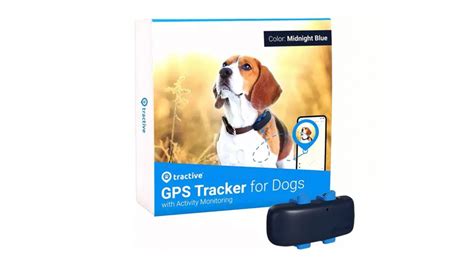 Best Gps Trackers For Dogs To Keep Tabs On Your Pooch Horse And Hound