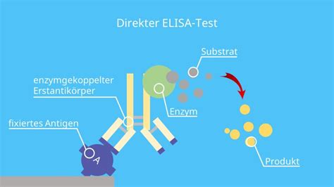 Elisa Test Hiv