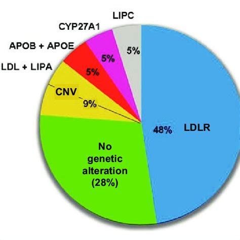 Distribution Of The Genetic Variants Detected In The Patients With A