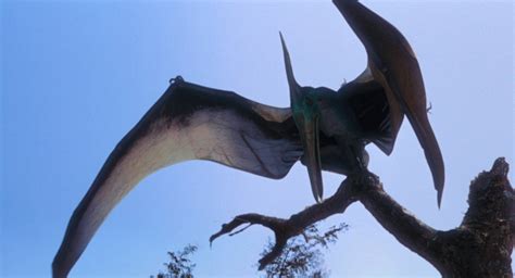 Fun And In Depth Pterodactyl Facts With Scenarios