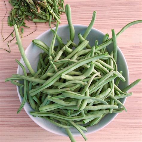 Haricots verts bio cultivés par des amis Après des années où mon fils