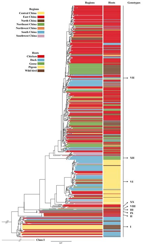 Pathogens Free Full Text Insights Into Genomic Epidemiology