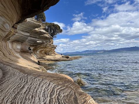 もう一度訪れたくなる場所。Tasmania（タスマニア）ロードトリップ記録【前編】｜Risa