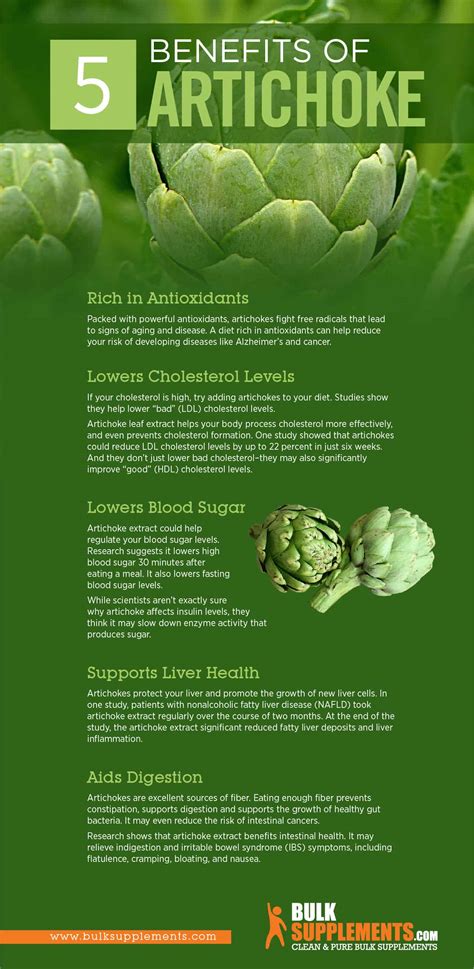 Artichoke Benefits Side Effects And Dosage