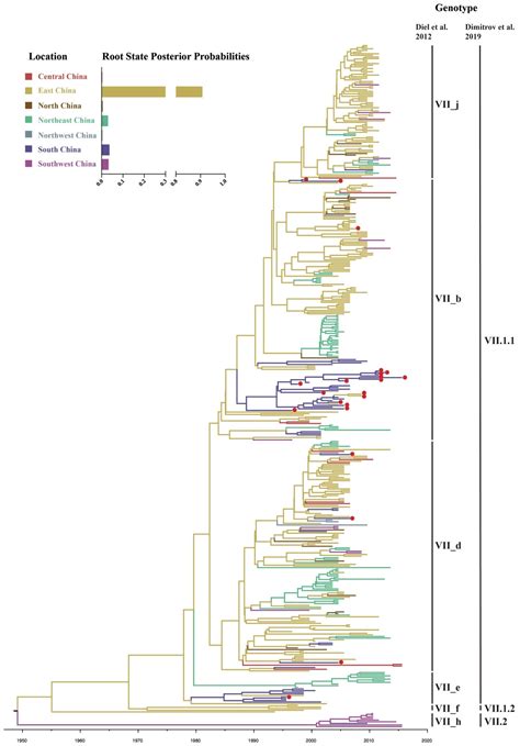 Pathogens Free Full Text Insights Into Genomic Epidemiology