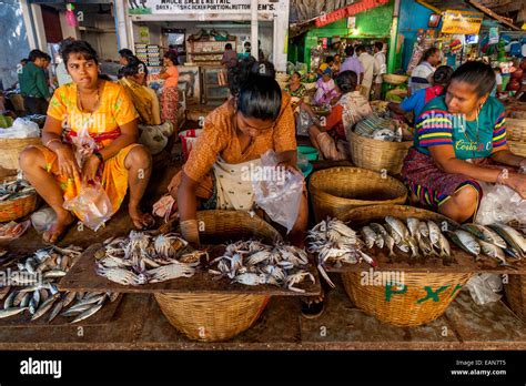 Goa Calangute Fish Market Hi Res Stock Photography And Images Alamy