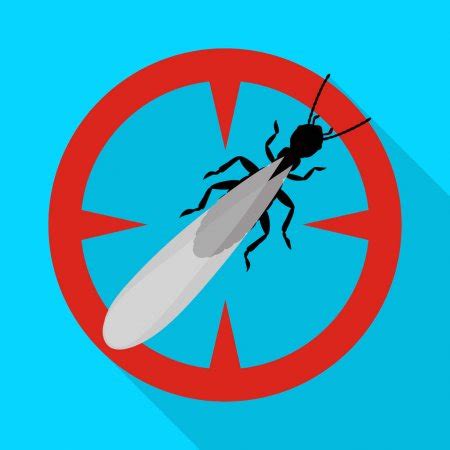 Insect Fly Vector Icon Cartoon Vector Icon Isolated On White Background