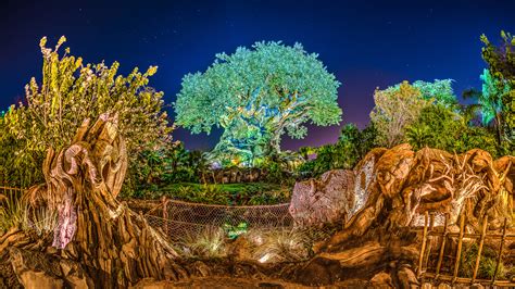 Wallpaper Disney Disneyworld Wdw Waltdisneyworld Animalkingdom